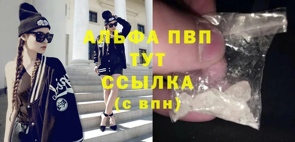 дурь Няндома
