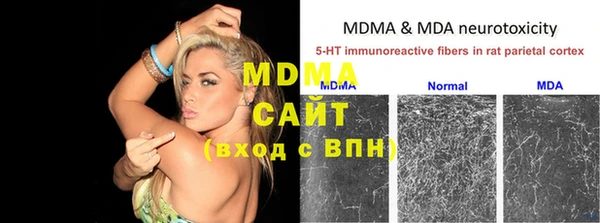 дурь Няндома