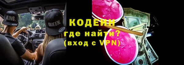 дурь Няндома