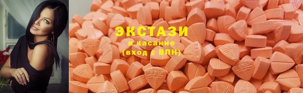 дурь Няндома