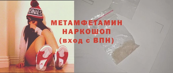 дурь Няндома