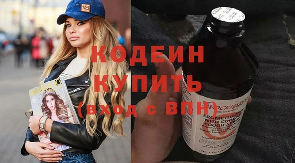 дурь Няндома