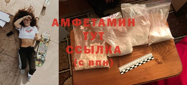 шишки Нягань