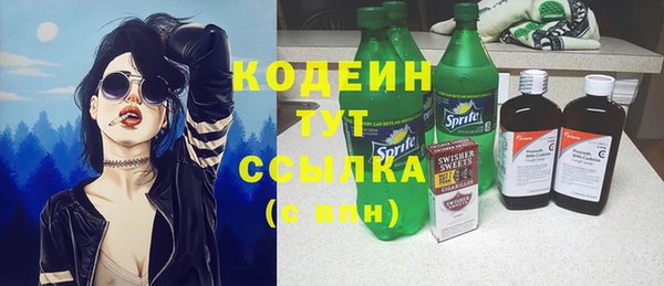 дурь Няндома