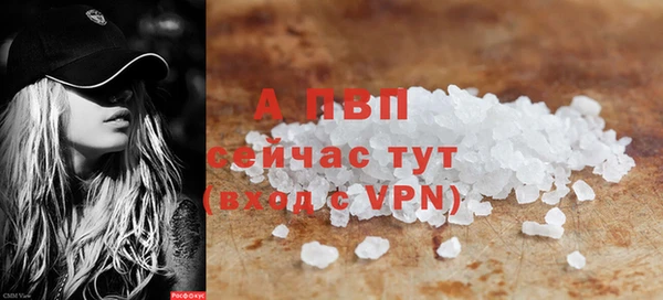 скорость Новозыбков