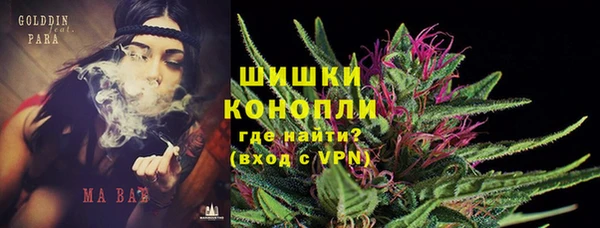 шишки Нягань