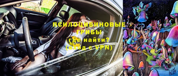 шишки Нягань